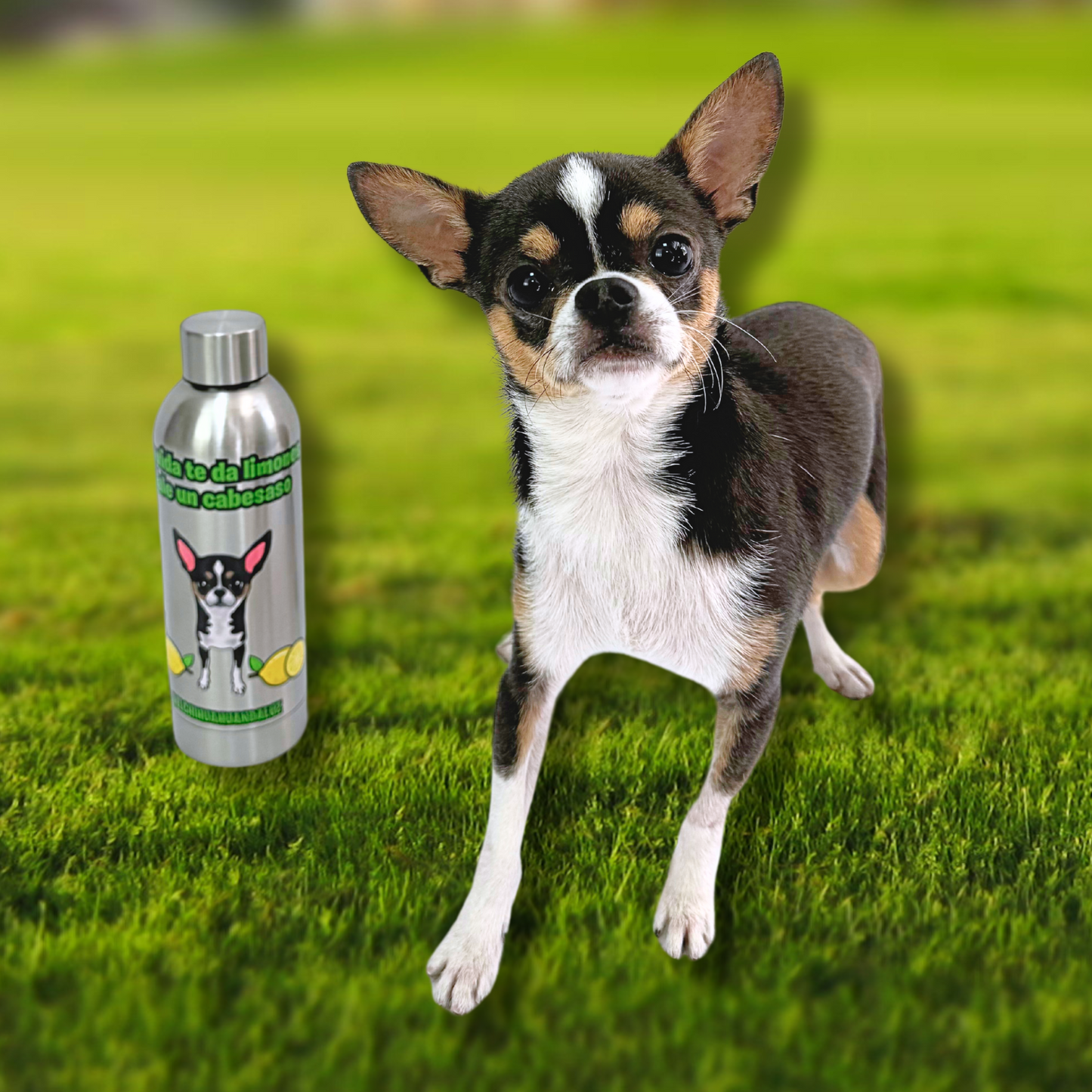 Bidón Termo @elchihuahuandaluz 550ml